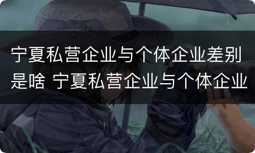 宁夏私营企业与个体企业差别是啥 宁夏私营企业与个体企业差别是啥样的