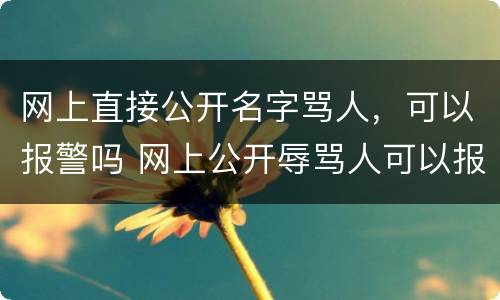 网上直接公开名字骂人，可以报警吗 网上公开辱骂人可以报警吗