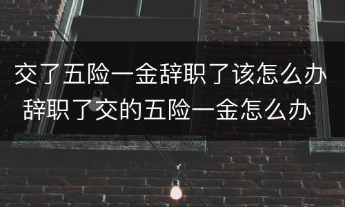 交了五险一金辞职了该怎么办 辞职了交的五险一金怎么办