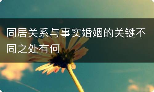 同居关系与事实婚姻的关键不同之处有何