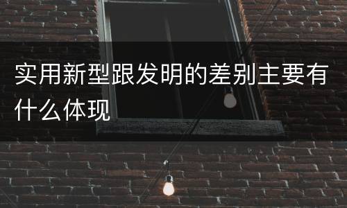 实用新型跟发明的差别主要有什么体现