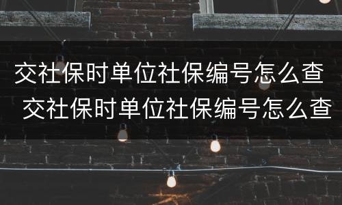 交社保时单位社保编号怎么查 交社保时单位社保编号怎么查不到