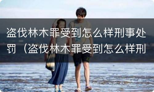 盗伐林木罪受到怎么样刑事处罚（盗伐林木罪受到怎么样刑事处罚呢）