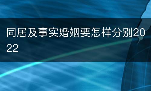 同居及事实婚姻要怎样分别2022