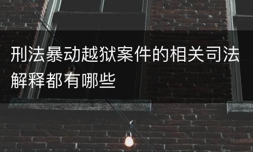刑法暴动越狱案件的相关司法解释都有哪些