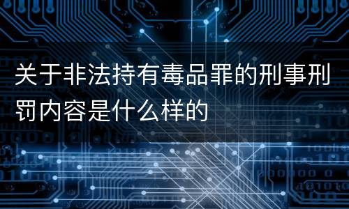 关于非法持有毒品罪的刑事刑罚内容是什么样的