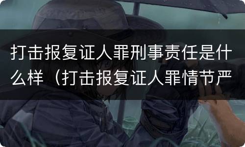 打击报复证人罪刑事责任是什么样（打击报复证人罪情节严重）