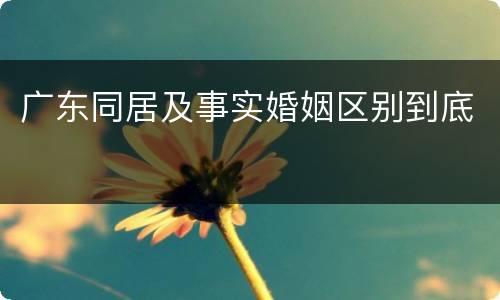 广东同居及事实婚姻区别到底