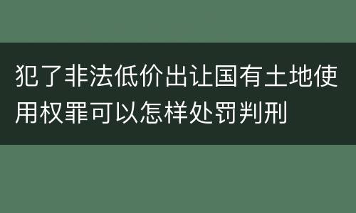 犯了非法低价出让国有土地使用权罪可以怎样处罚判刑