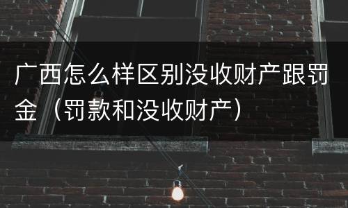 广西怎么样区别没收财产跟罚金（罚款和没收财产）