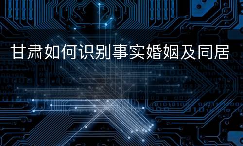 甘肃如何识别事实婚姻及同居