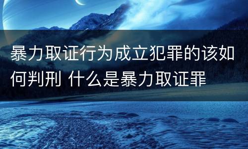暴力取证行为成立犯罪的该如何判刑 什么是暴力取证罪
