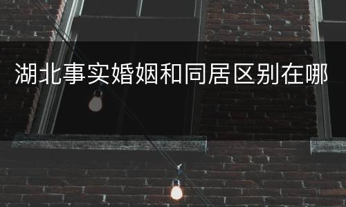 湖北事实婚姻和同居区别在哪
