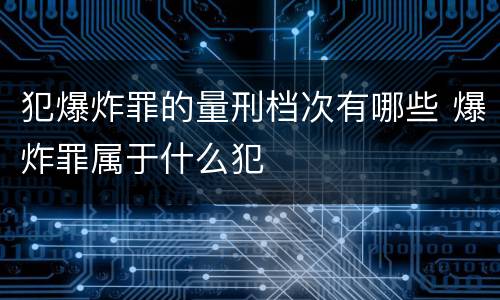 犯爆炸罪的量刑档次有哪些 爆炸罪属于什么犯