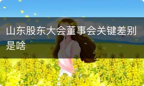山东股东大会董事会关键差别是啥