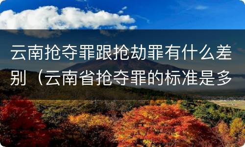 云南抢夺罪跟抢劫罪有什么差别（云南省抢夺罪的标准是多少?）