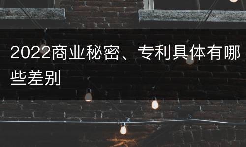 2022商业秘密、专利具体有哪些差别