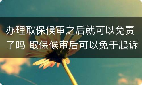 办理取保候审之后就可以免责了吗 取保候审后可以免于起诉吗