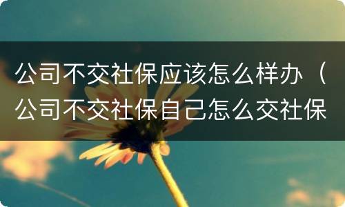 公司不交社保应该怎么样办（公司不交社保自己怎么交社保）