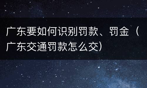 广东要如何识别罚款、罚金（广东交通罚款怎么交）