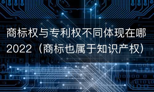 商标权与专利权不同体现在哪2022（商标也属于知识产权）