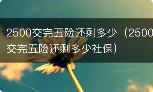 2500交完五险还剩多少（2500交完五险还剩多少社保）