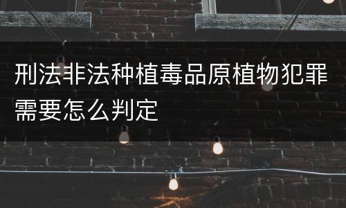 刑法非法种植毒品原植物犯罪需要怎么判定