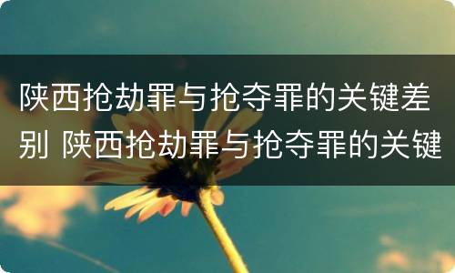 陕西抢劫罪与抢夺罪的关键差别 陕西抢劫罪与抢夺罪的关键差别是