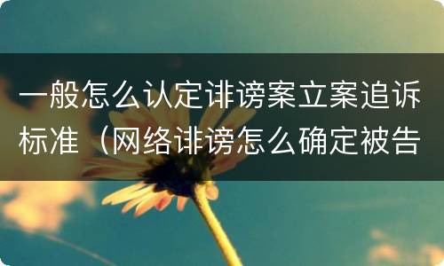 一般怎么认定诽谤案立案追诉标准（网络诽谤怎么确定被告）