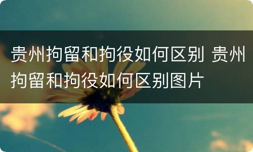 贵州拘留和拘役如何区别 贵州拘留和拘役如何区别图片