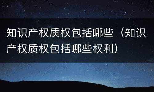 知识产权质权包括哪些（知识产权质权包括哪些权利）