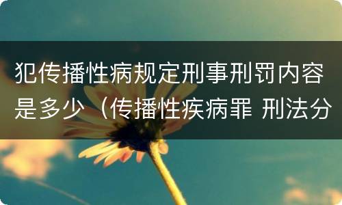 犯传播性病规定刑事刑罚内容是多少（传播性疾病罪 刑法分则）