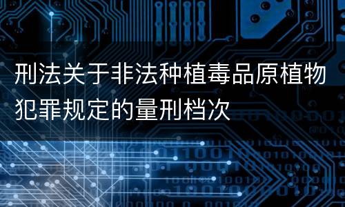 刑法关于非法种植毒品原植物犯罪规定的量刑档次