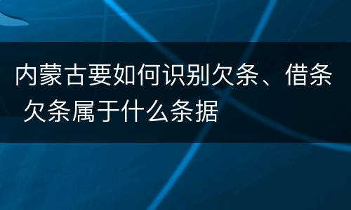内蒙古要如何识别欠条、借条 欠条属于什么条据