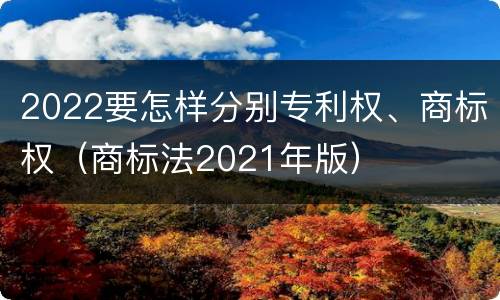 2022要怎样分别专利权、商标权（商标法2021年版）
