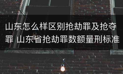 山东怎么样区别抢劫罪及抢夺罪 山东省抢劫罪数额量刑标准