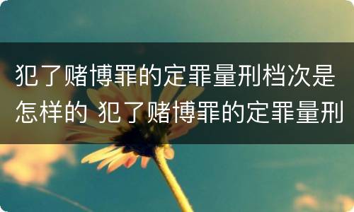 犯了赌博罪的定罪量刑档次是怎样的 犯了赌博罪的定罪量刑档次是怎样的处罚