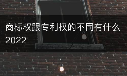 商标权跟专利权的不同有什么2022