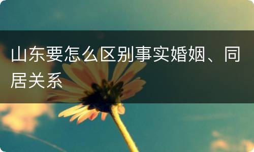 山东要怎么区别事实婚姻、同居关系