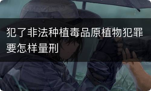 犯了非法种植毒品原植物犯罪要怎样量刑