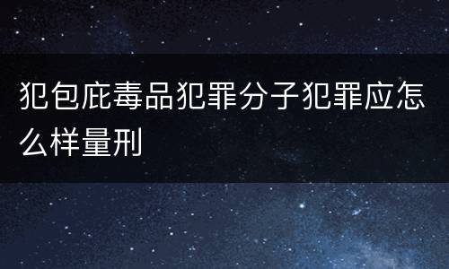 犯包庇毒品犯罪分子犯罪应怎么样量刑