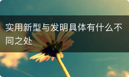 实用新型与发明具体有什么不同之处