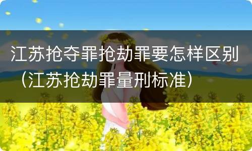 江苏抢夺罪抢劫罪要怎样区别（江苏抢劫罪量刑标准）