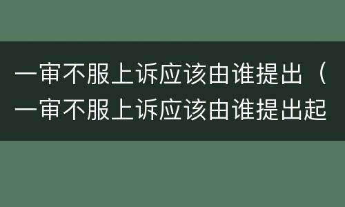 一审不服上诉应该由谁提出（一审不服上诉应该由谁提出起诉）