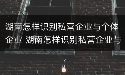 湖南怎样识别私营企业与个体企业 湖南怎样识别私营企业与个体企业的区别