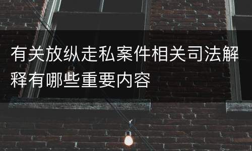 有关放纵走私案件相关司法解释有哪些重要内容