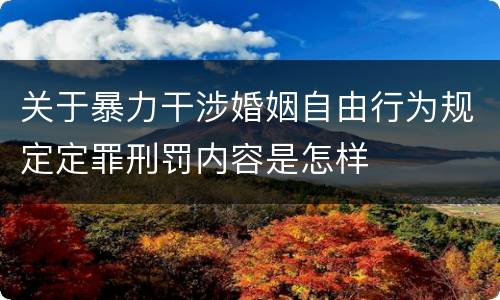 关于暴力干涉婚姻自由行为规定定罪刑罚内容是怎样