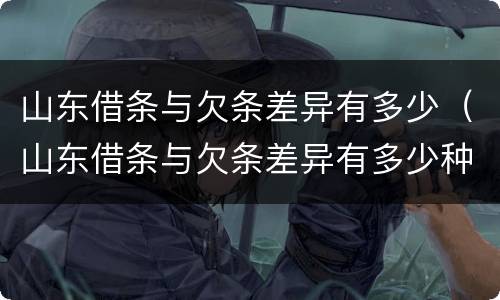 山东借条与欠条差异有多少（山东借条与欠条差异有多少种）