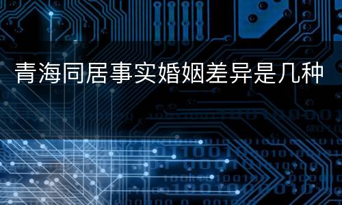 青海同居事实婚姻差异是几种