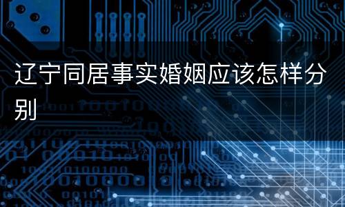 辽宁同居事实婚姻应该怎样分别